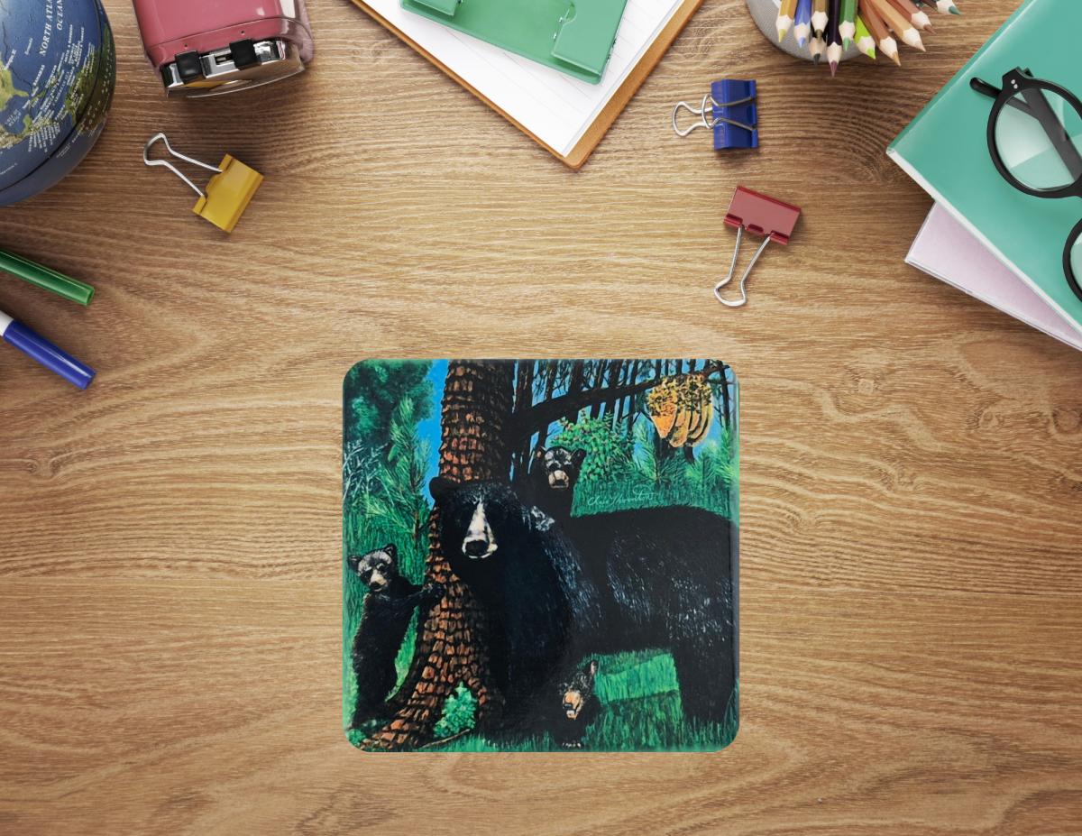 Momma and the Boys Ceramic Coaster picture