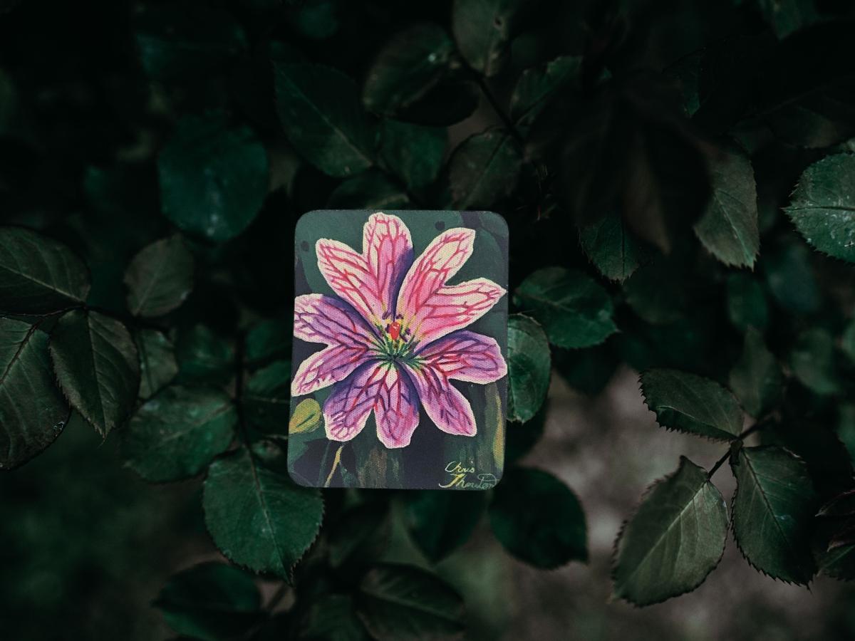 Pink Geranium Magnet picture