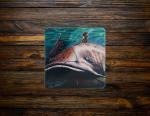 Flathead Frankie Ceramic Coaster