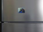 Juan the Loggerhead Sea Turtle Magnet