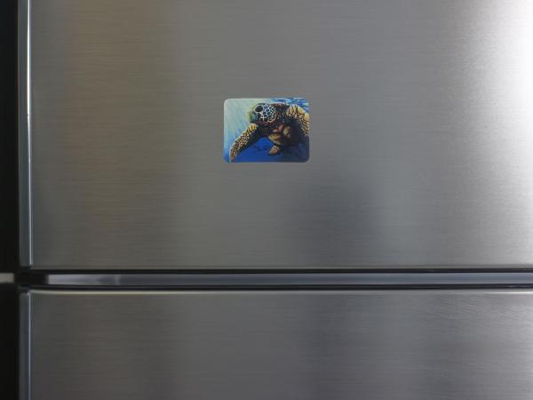 Juan the Loggerhead Sea Turtle Magnet