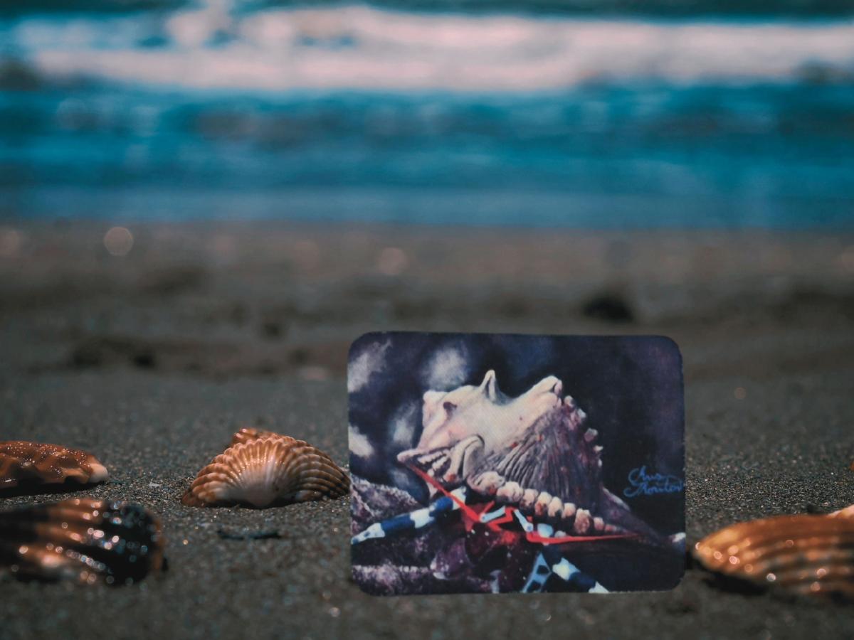 Shelly the Hermit Crab Magnet picture