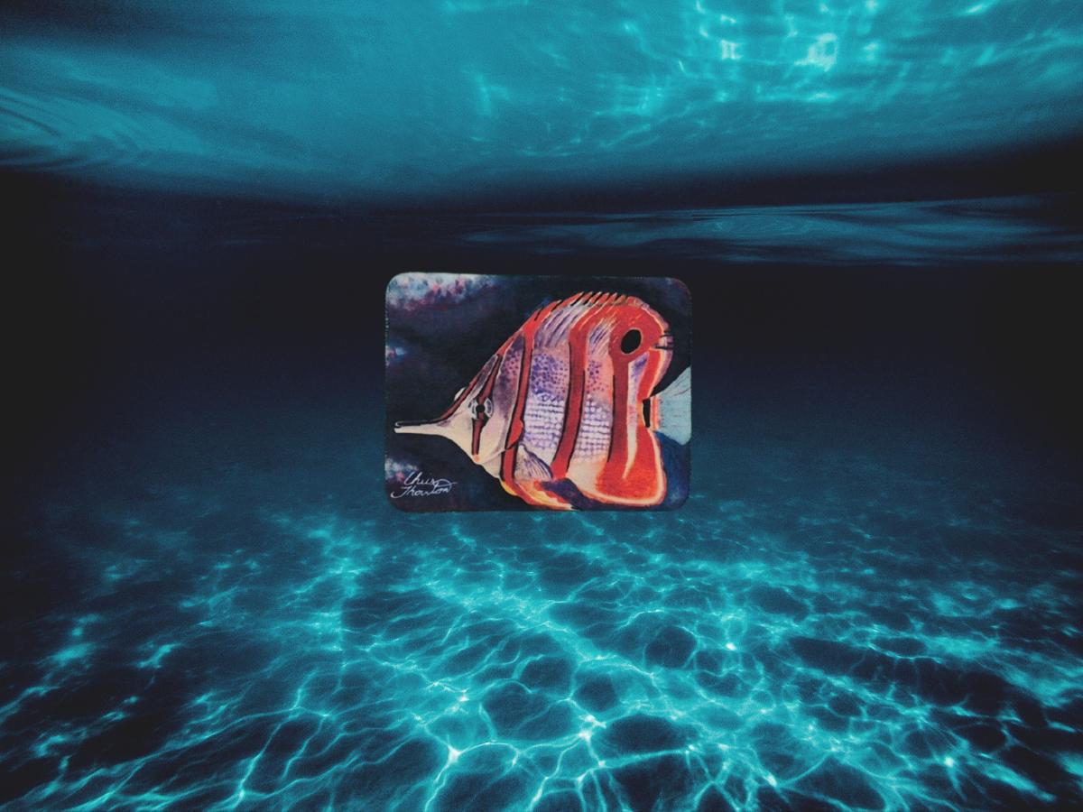 Orange Butterfly Fish Magnet picture