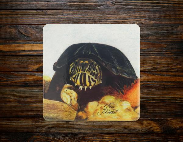 Chewy the Mud Turtle Ceramic Coaster