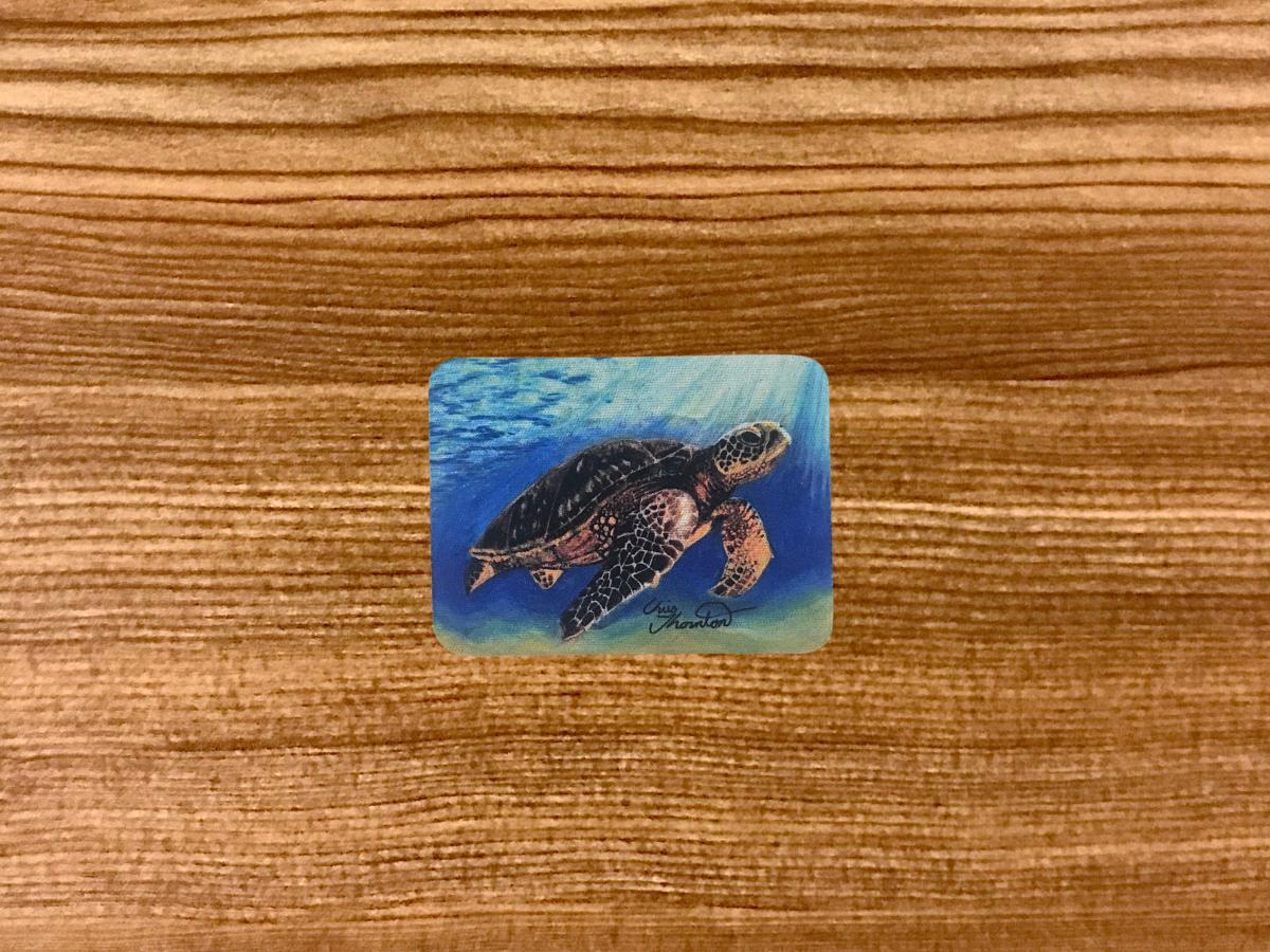 Layla the Loggerhead Sea Turtle magnet picture