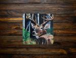Pap-Paw the White Tail Buck Ceramic Coaster