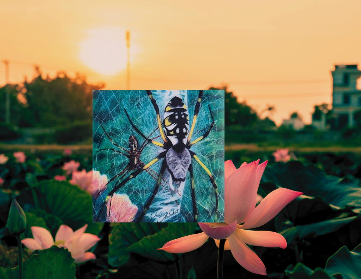 Grace the Garden Spider Ceramic Coaster picture