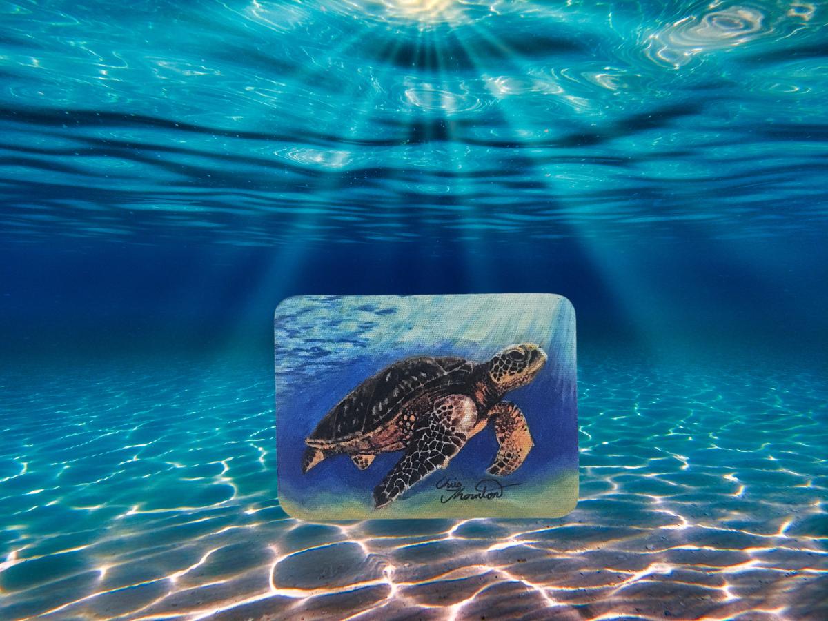Layla the Loggerhead Sea Turtle magnet picture