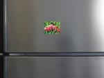 Clownfish In Green Magnet