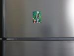 Grace the Garden Spider Magnet