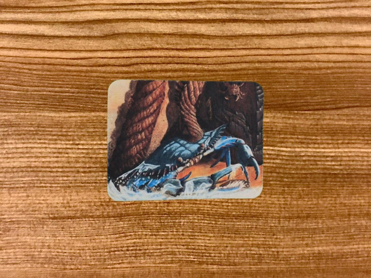 Buster the Blue Crab Magnet picture
