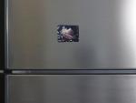 Shelly the Hermit Crab Magnet