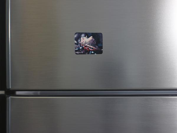 Shelly the Hermit Crab Magnet