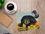 Chewy the Mud Turtle Mousepad