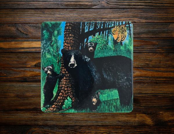 Momma and the Boys Ceramic Coaster