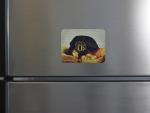 Chewy the Mud Turtle Magnet