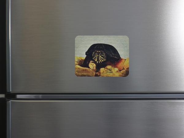 Chewy the Mud Turtle Magnet