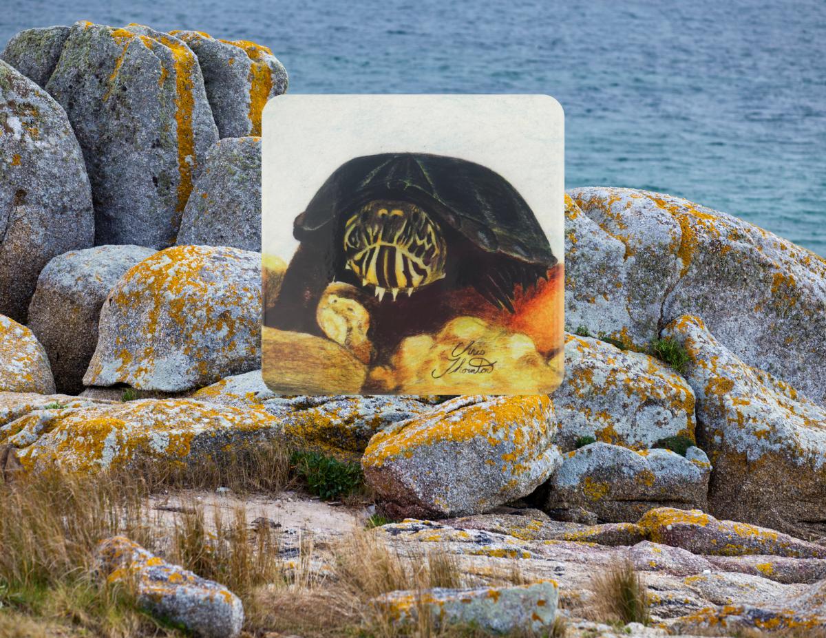 Chewy the Mud Turtle Ceramic Coaster picture