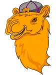 Camel City Athletics