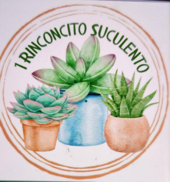 1rinconcito suculento