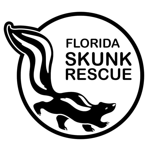 Florida Skunk Rescue
