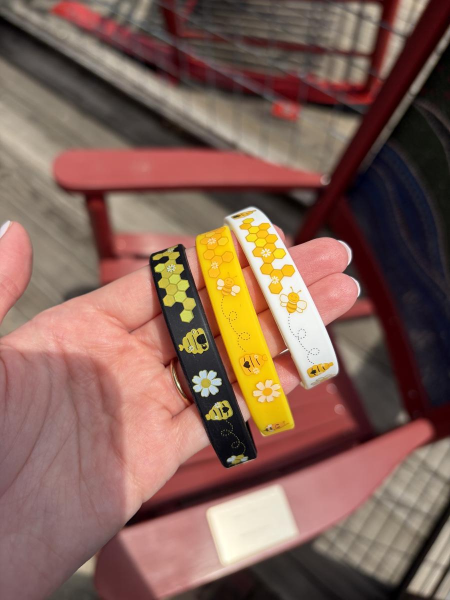 Bee Bands picture