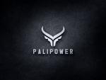 PaliPower LLC