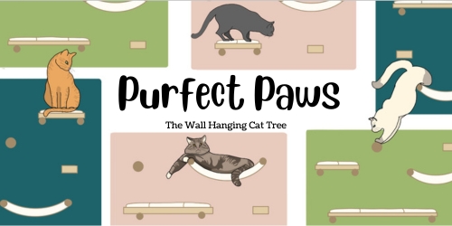 Purfect Paws Catwalls