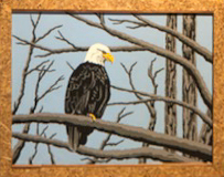 "RT15 Eagle" by John Saude picture