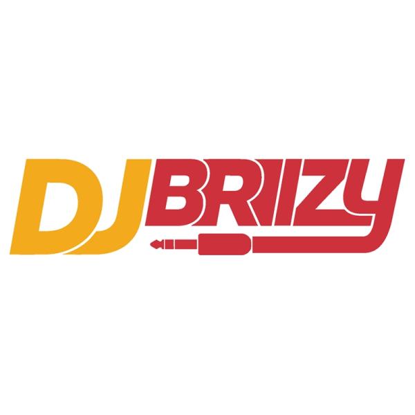 DJ BRI LLC
