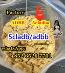 5cladba precursor raw 5cl-adb-a raw material