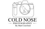 Cold Nose Pet Photography
