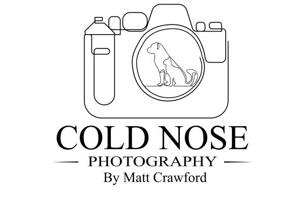 Cold Nose Pet Photography