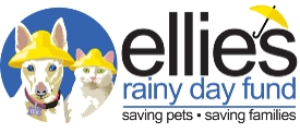 Ellie's Rainy Day Fund