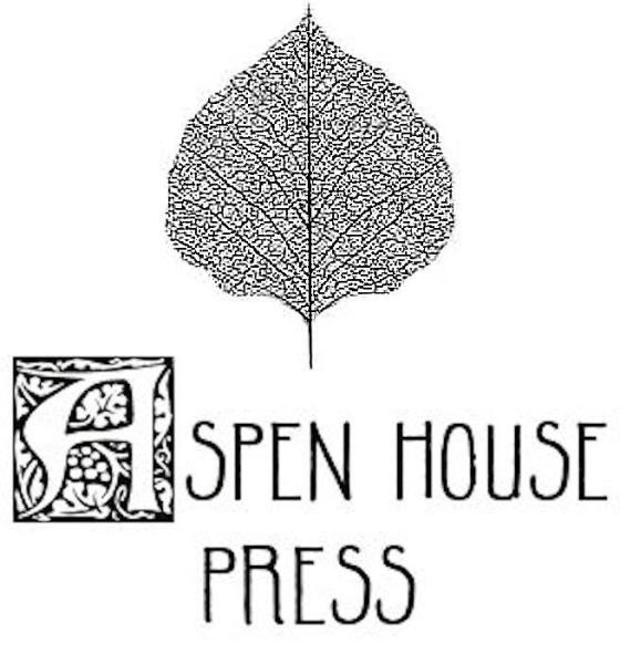 Aspen House Press, Soft Propaganda Pillow