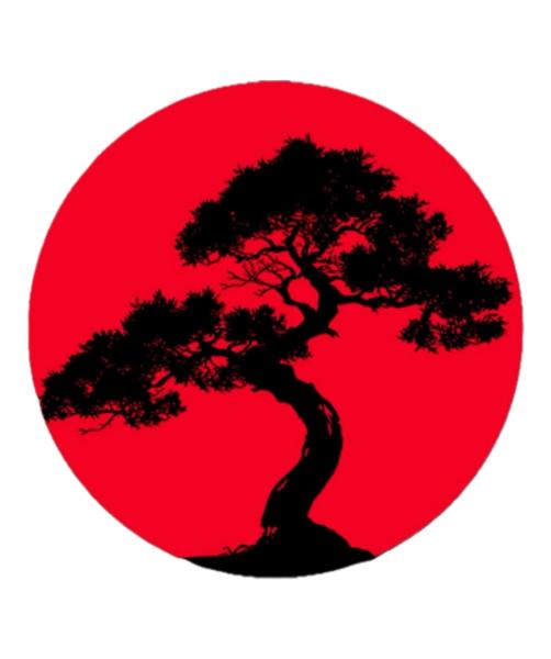 The Bonzai Food Truck