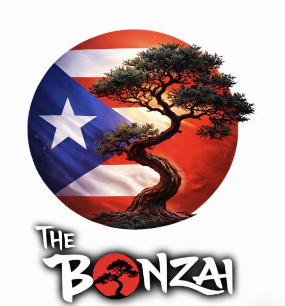 The Bonzai Food Truck