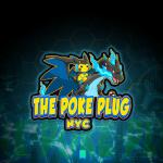 the poke plug nyc