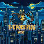 The Poke Plug NYC