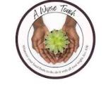 A Wyse Touch
