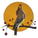 Waxwing Designs