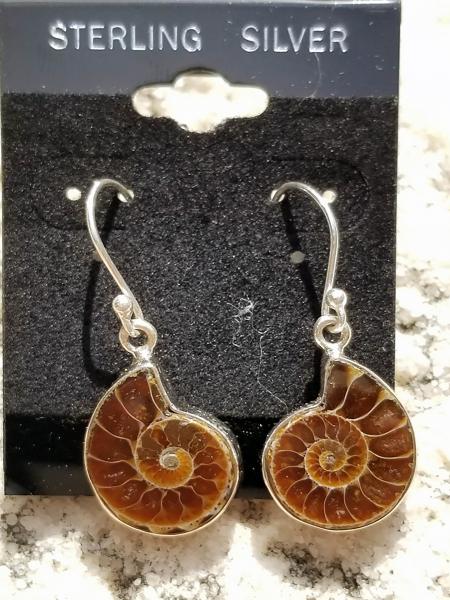 Ammonite Earrings