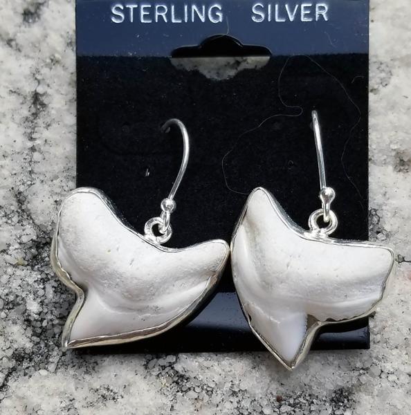 Shark Tooth Earrings picture