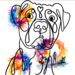 StepherDoodles