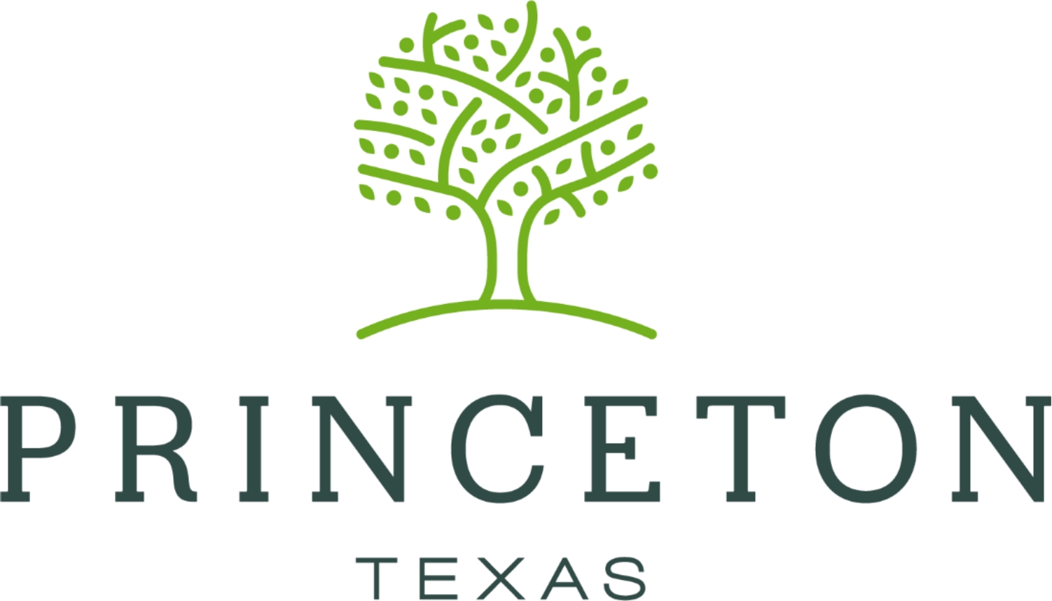 City of Princeton