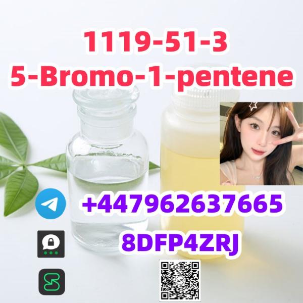 Supply chemical material CAS  1119-51-3	5-Bromo-1-pentene