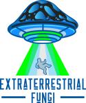 Extraterrestrial Fungi