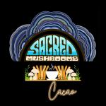 Sacred Mushrooms Cacao