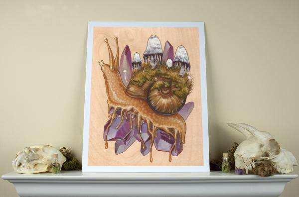 OK Shroomer 11 x 14 Fine Art Giclee Print picture