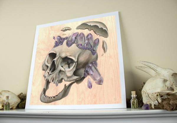 Laughing Skull 12 x 12 Fine Art Giclee Print picture